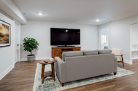1719 Champions Pointe virtual staging basement