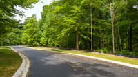 Woods of Skyline - 4 Lots