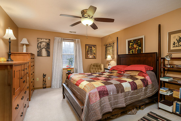 DHI-119