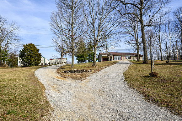 DHI-205